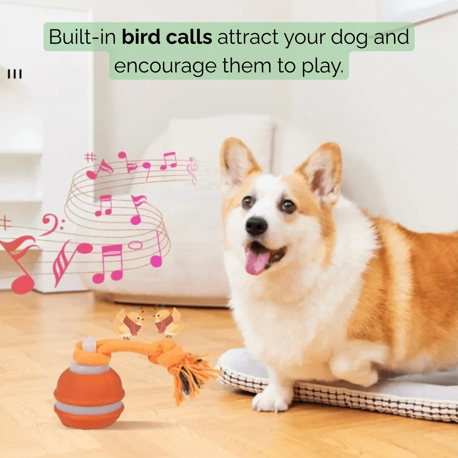 Interactieve Automatische Speelbal voor Honden - Duke & Scoop