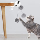 Interactieve Elektrische Kattenliftbal - Duke & Scoop