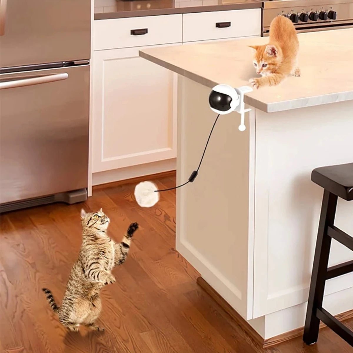 Interactieve Elektrische Kattenliftbal - Duke & Scoop