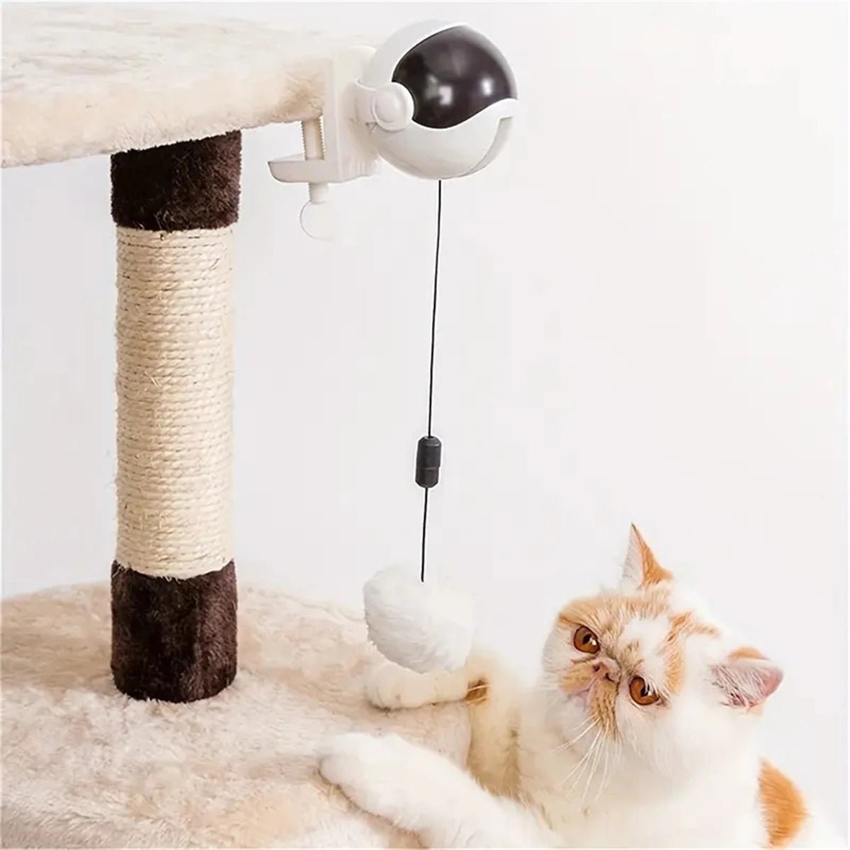 Interactieve Elektrische Kattenliftbal - Duke & Scoop