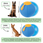 Interactieve Herdersbal voor Honden - Duke & Scoop