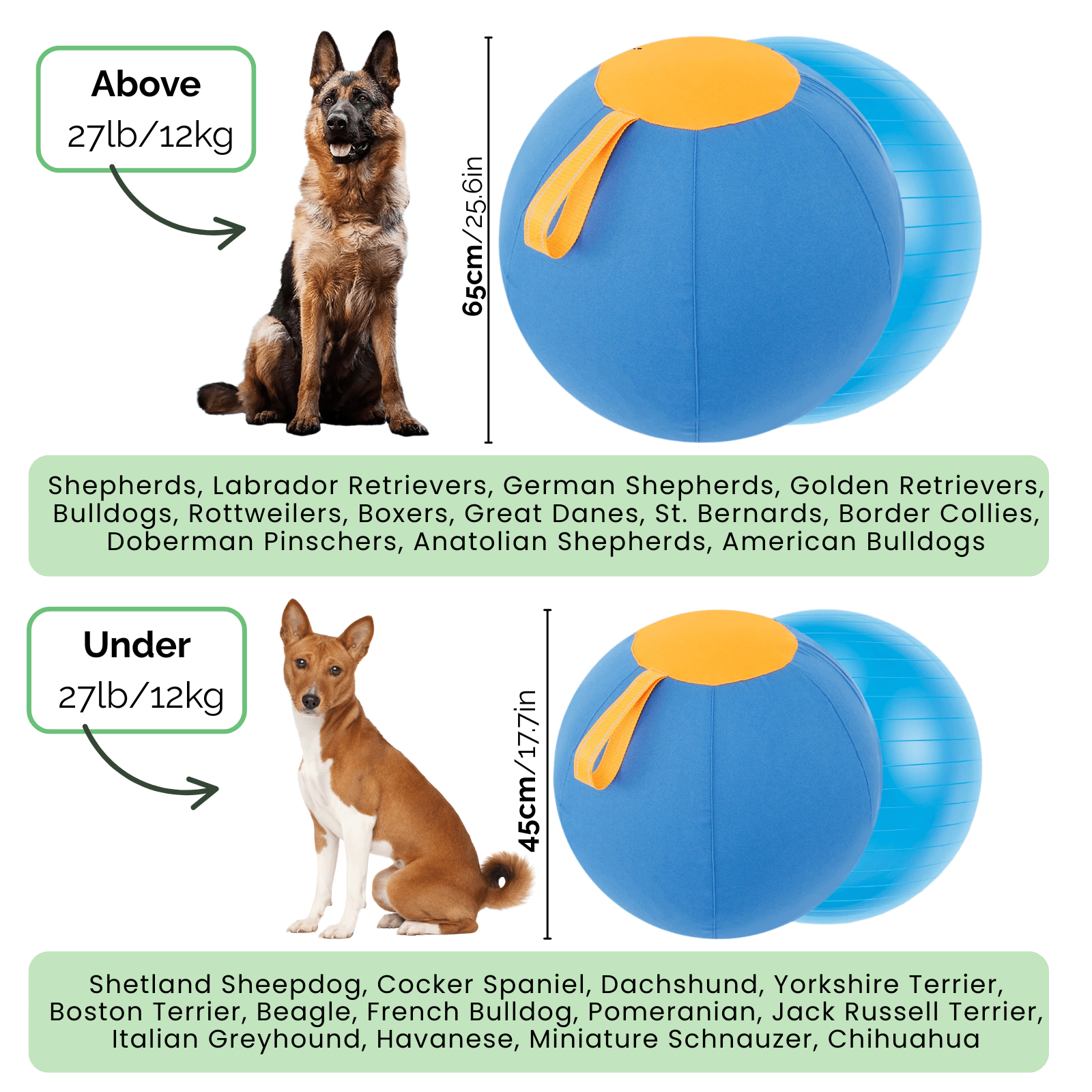 Interactieve Herdersbal voor Honden - Duke & Scoop