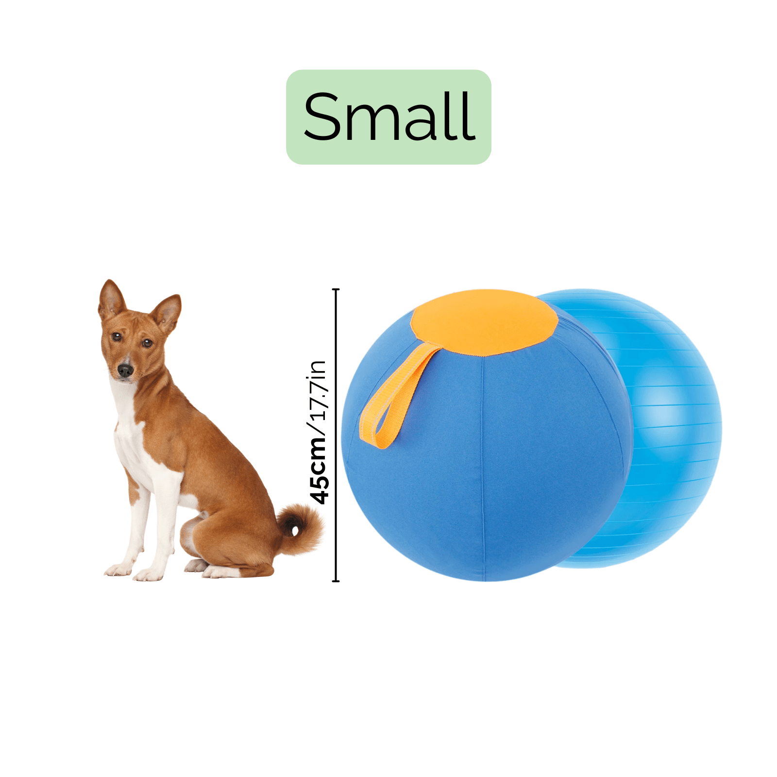 Interactieve Herdersbal voor Honden - Duke & Scoop