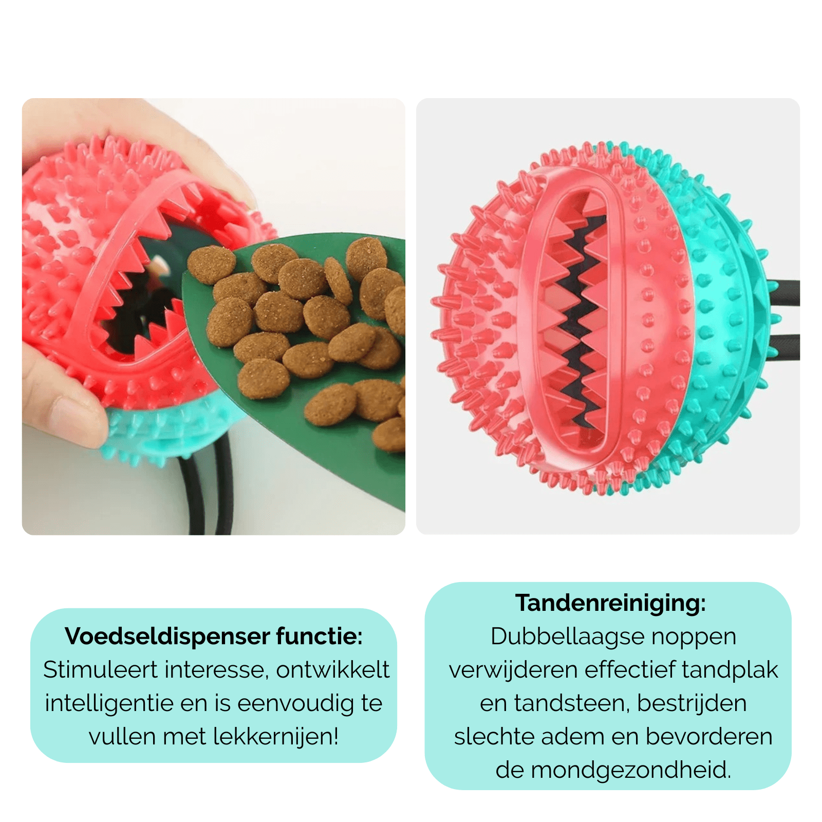 Interactieve Hondenbal met Zuignap & Touw - Duke & Scoop