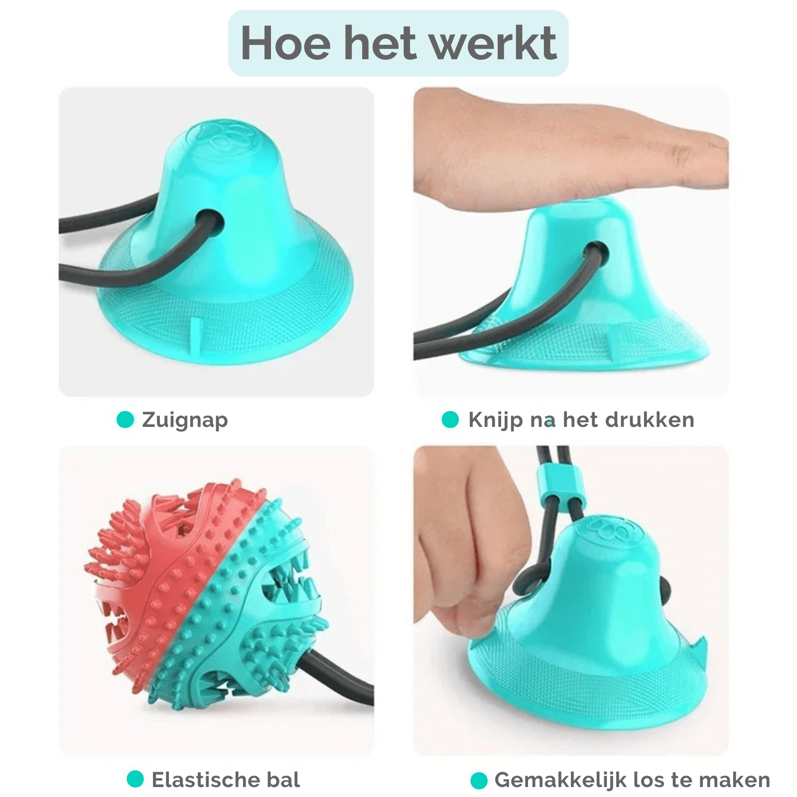 Interactieve Hondenbal met Zuignap & Touw - Duke & Scoop