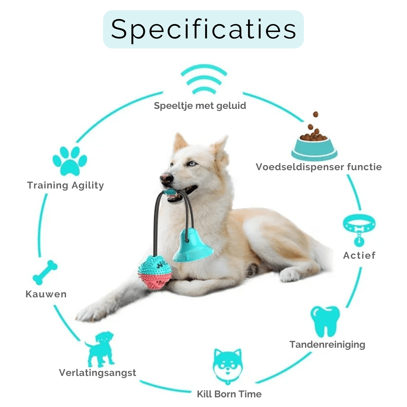 Interactieve Hondenbal met Zuignap & Touw - Duke & Scoop