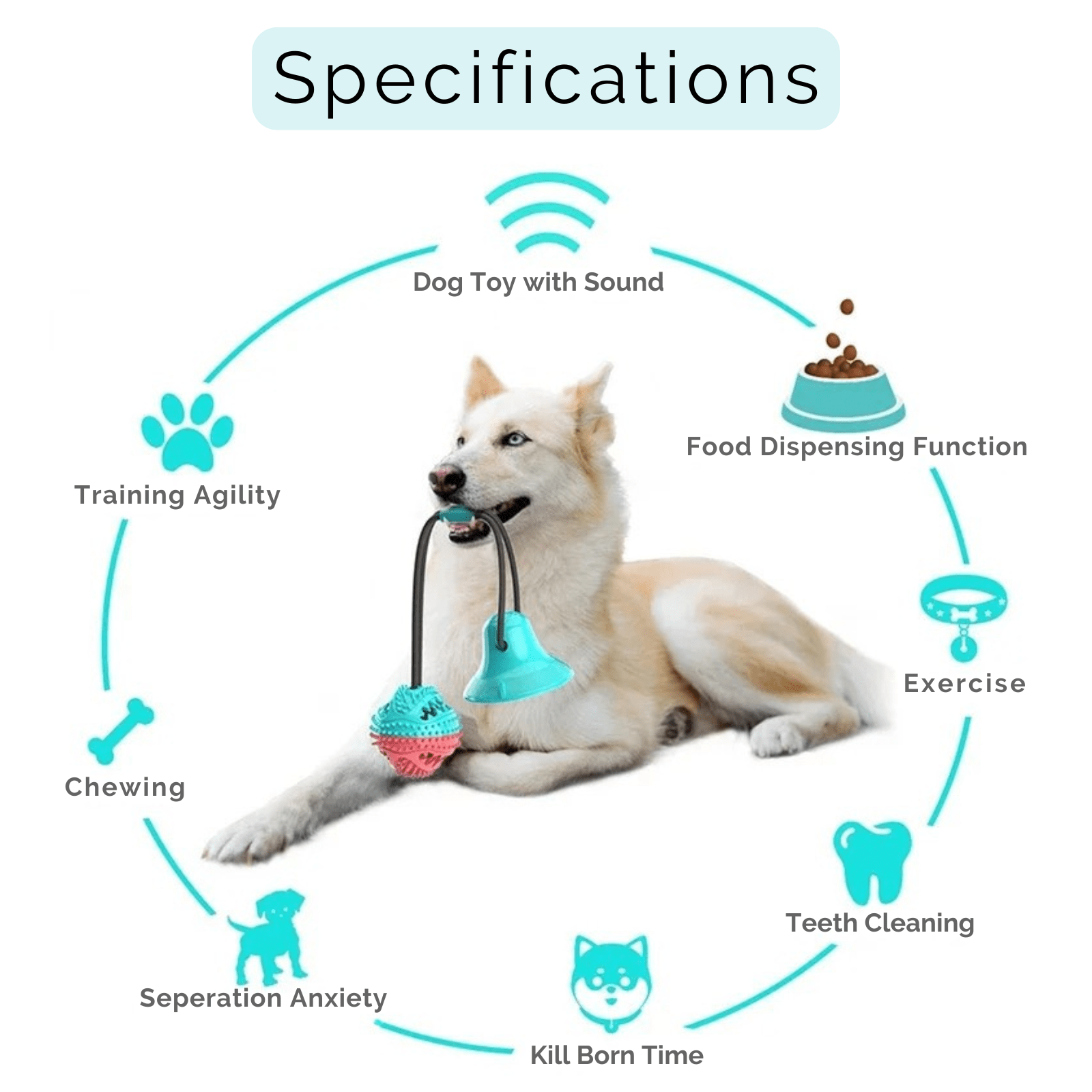 Interactieve Hondenbal met Zuignap & Touw - Duke & Scoop