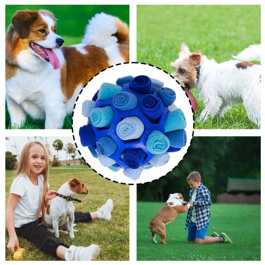 Interactieve Snuffelbal voor Honden - Duke & Scoop