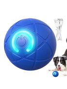 Interactieve Trillende Hondenspeelbal - Duke & Scoop