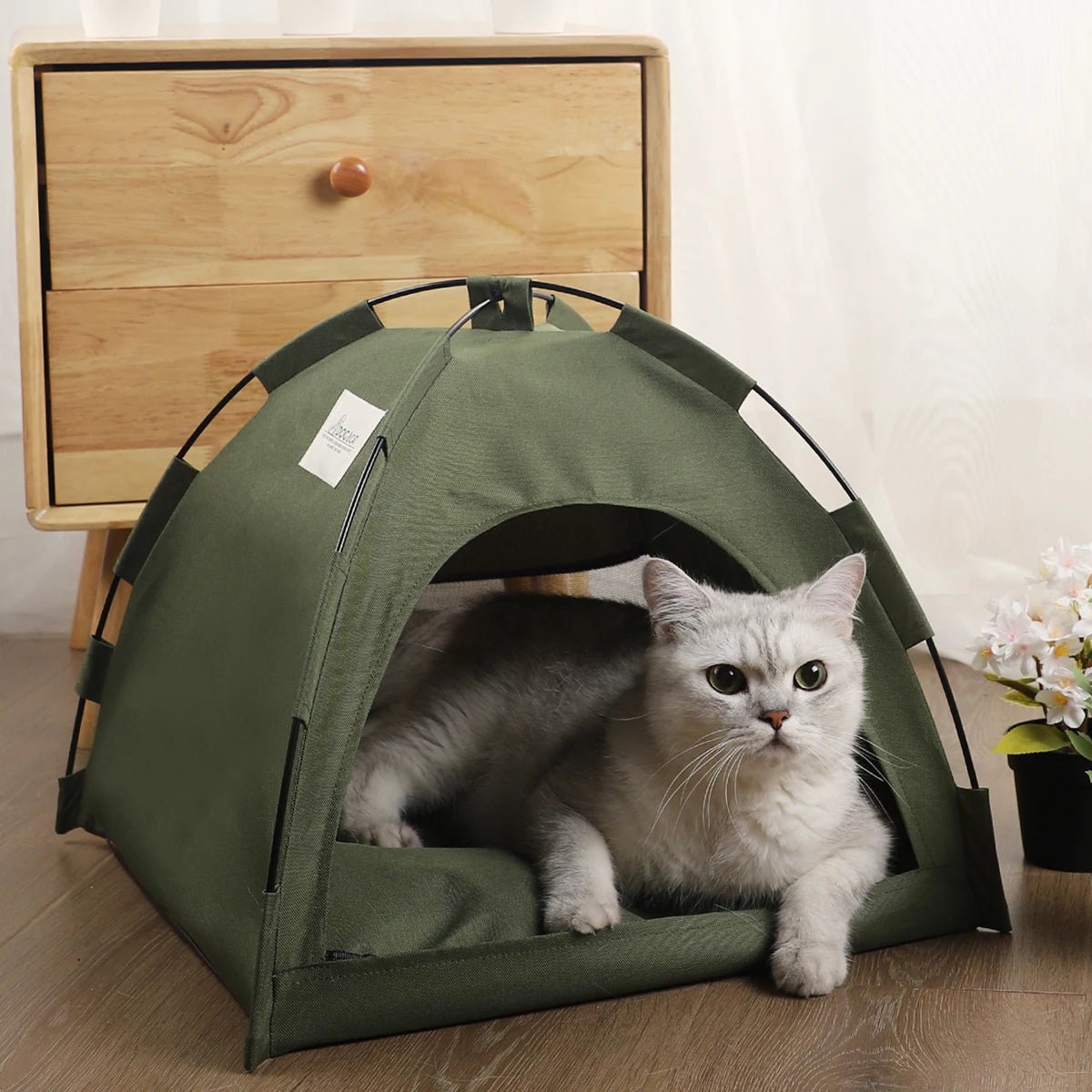 Katten Tentbed Clamshell - Duke & Scoop