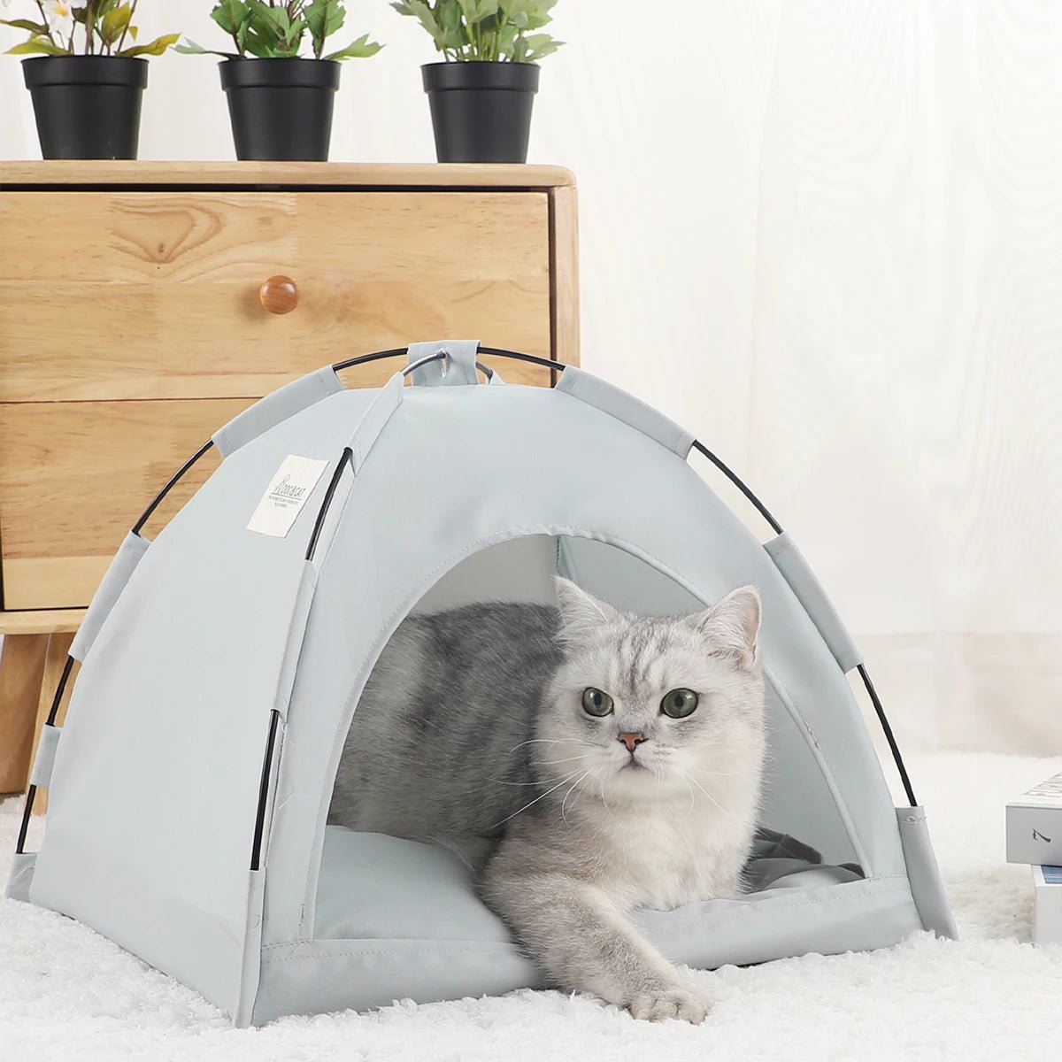 Katten Tentbed Clamshell - Duke & Scoop
