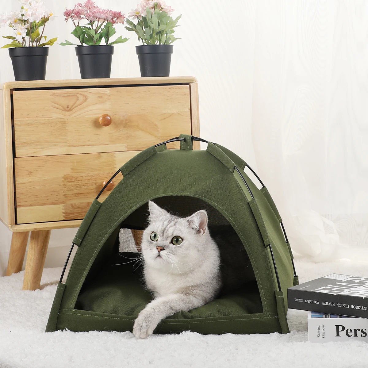Katten Tentbed Clamshell - Duke & Scoop