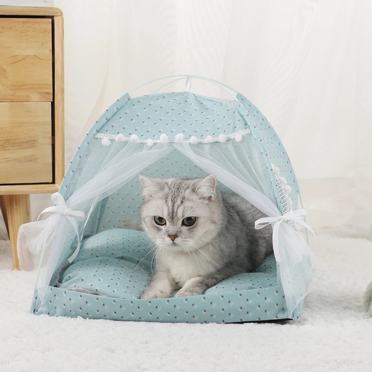 Katten Tentbed Clamshell - Duke & Scoop