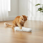 Kattenkruid Speelgoed Kat – Zachte Knuffel Kat met Catnip - 4 Pack - Duke & Scoop