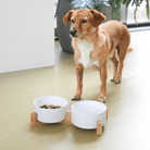 Keramische Voerbak - Set van 2 - Duke & Scoop