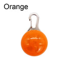 LED Licht Halsband Hanger – Veiligheidslampje - Duke & Scoop