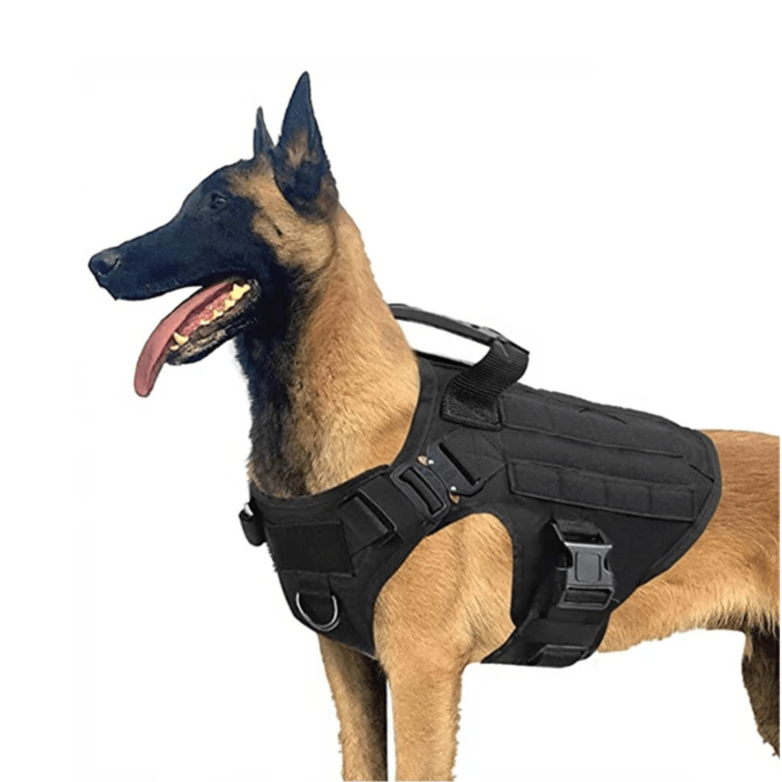 Militair Harnas met Handvat - Duke & Scoop