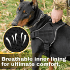 Militaire Trainingstuig voor Grote Hondenrassen - Duke & Scoop