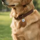 Mini Draadloze GPS Tracker - Duke & Scoop