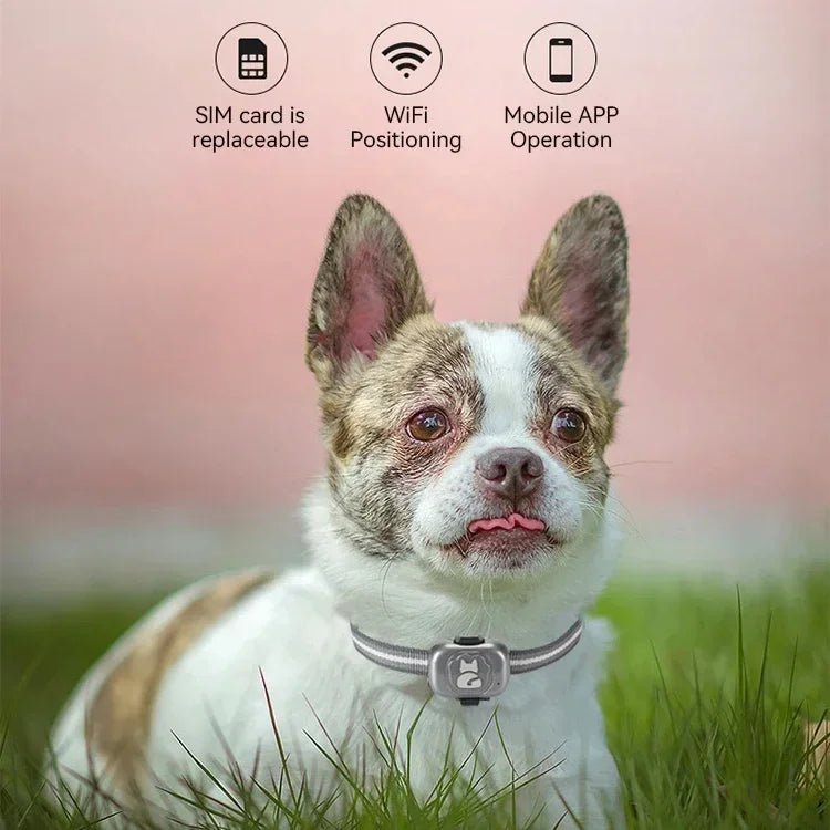 Mini GPS Tracker voor Honden en Katten – Waterdicht - Duke & Scoop