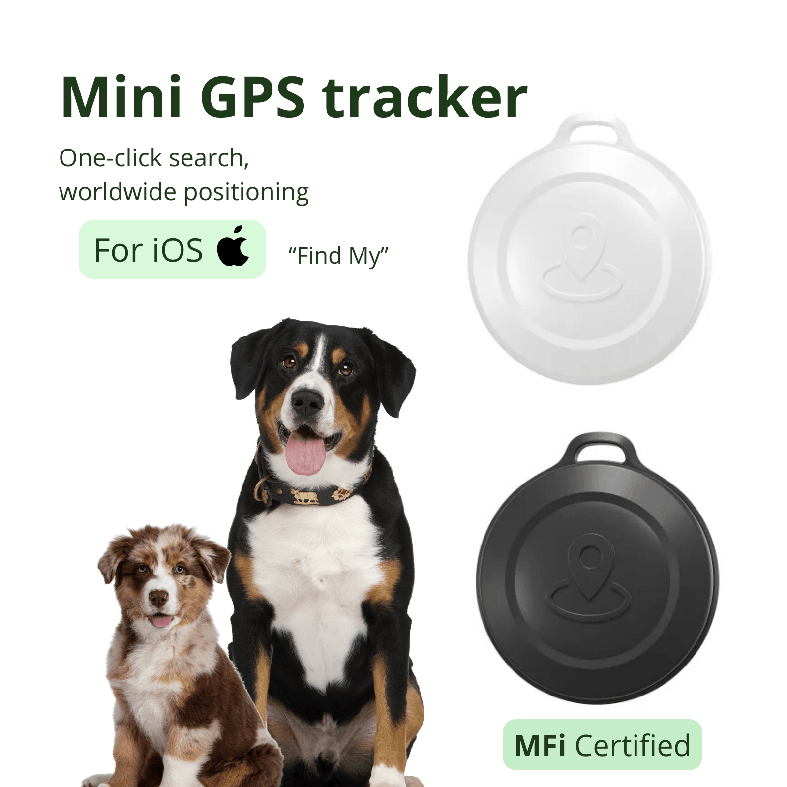 Mini GPS Tracker voor huisdieren - Duke & Scoop