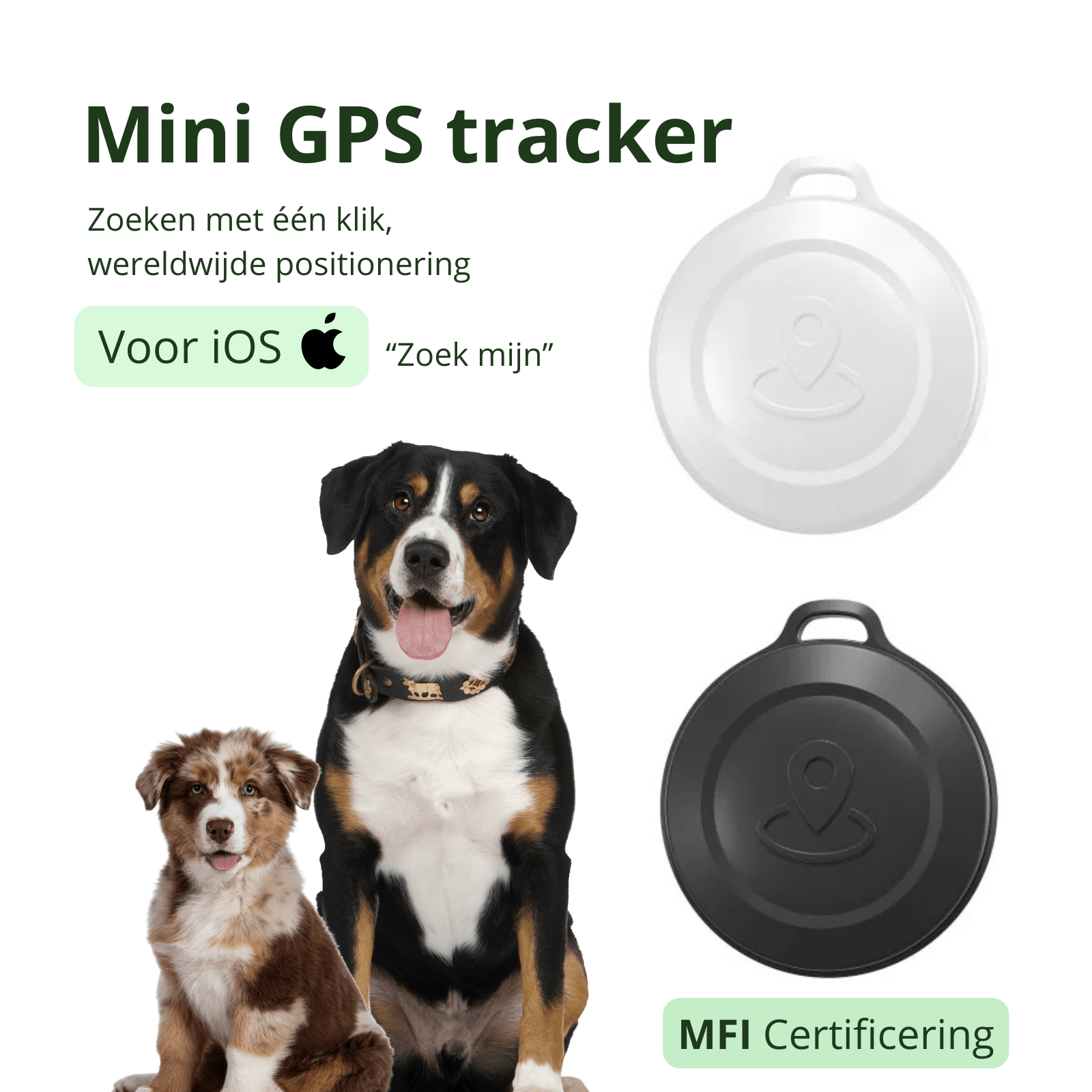 Mini GPS Tracker voor huisdieren - Duke & Scoop