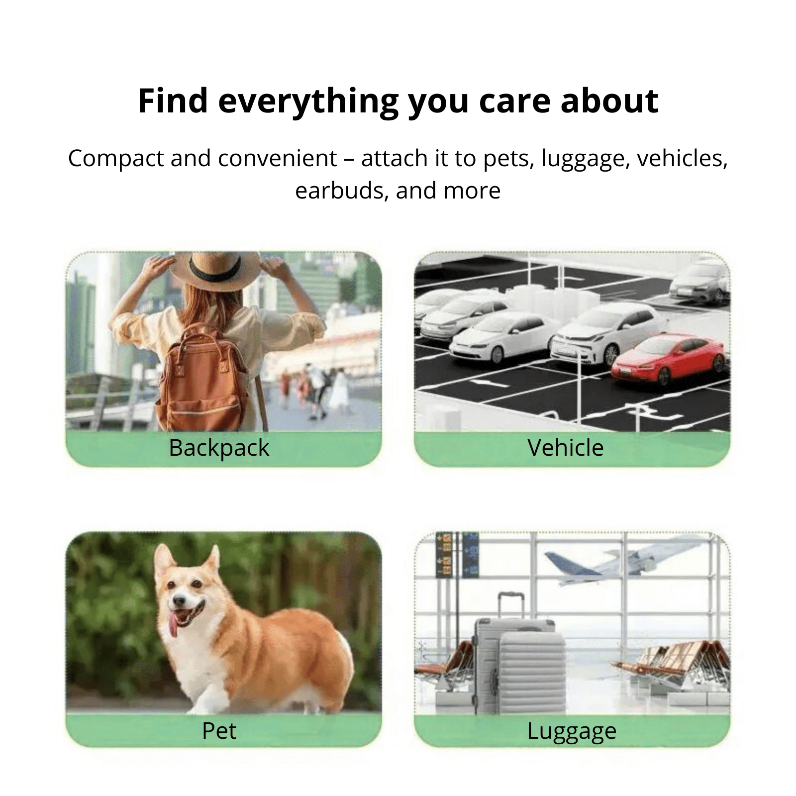 Mini GPS Tracker voor huisdieren - Duke & Scoop