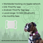 Mini PetFinder – GPS Tracker - Duke & Scoop