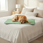 Onderlegger Bed Hondendeken – Superabsorberend Wasbaar Incontinentiekleed - Duke & Scoop