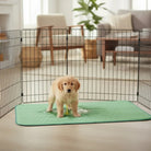 Onderlegger Bed Hondendeken – Superabsorberend Wasbaar Incontinentiekleed - Duke & Scoop