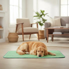 Onderlegger Bed Hondendeken – Superabsorberend Wasbaar Incontinentiekleed - Duke & Scoop