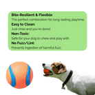 Onverwoestbare Hondenbal Oranje - Duke & Scoop