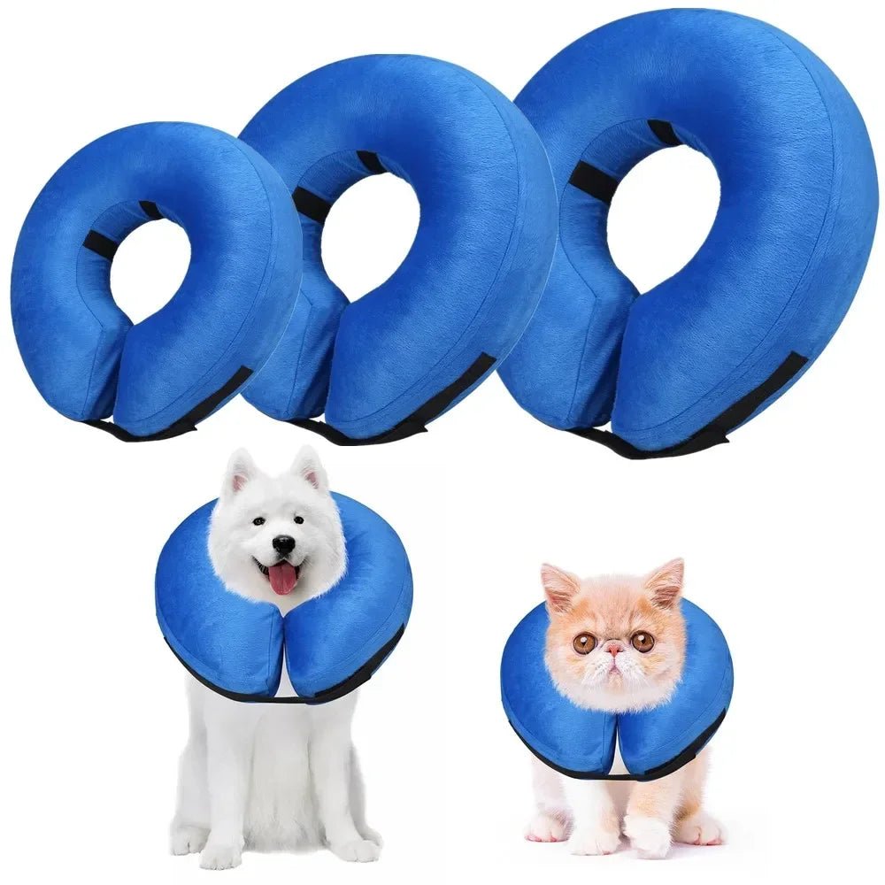 Opblaasbare Beschermkraag voor Honden & Katten - Duke & Scoop