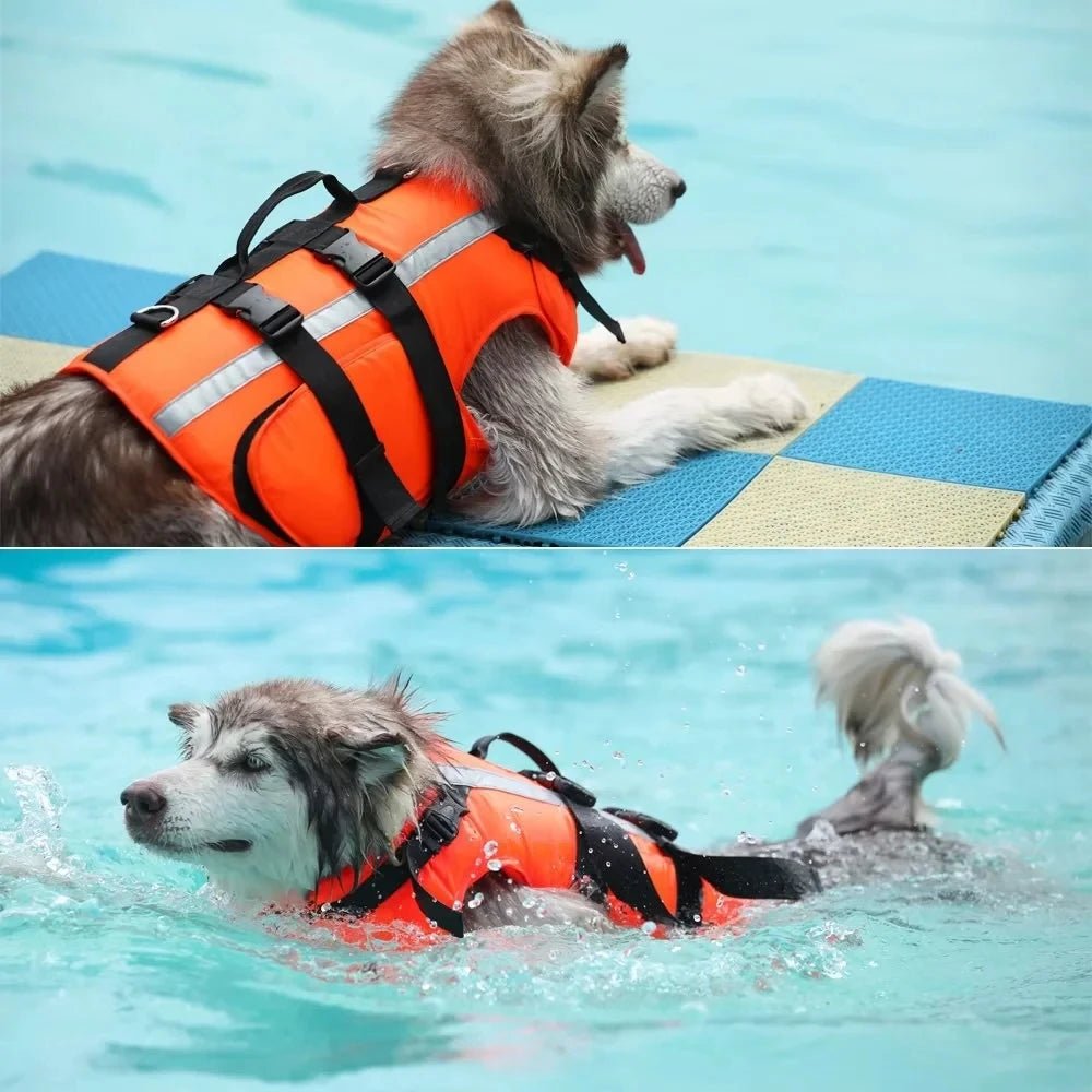 Oranje Zwemvest voor Honden - Duke & Scoop