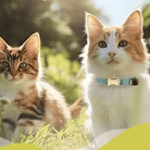 PawFind Smart Huisdier Tracker met Halsband - Duke & Scoop