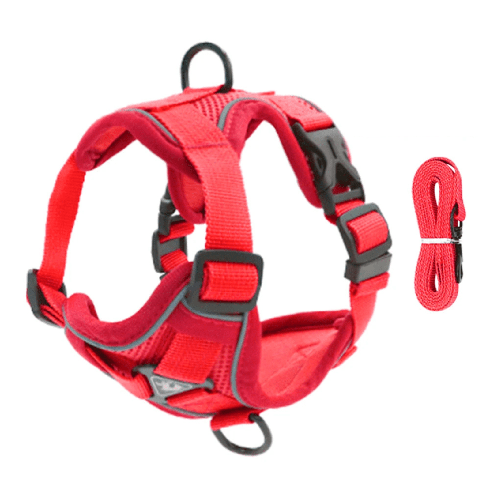 PawSecure – Harnas voor Hond en Kat - Duke & Scoop