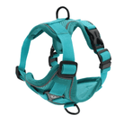 PawSecure – Harnas voor Hond en Kat - Duke & Scoop