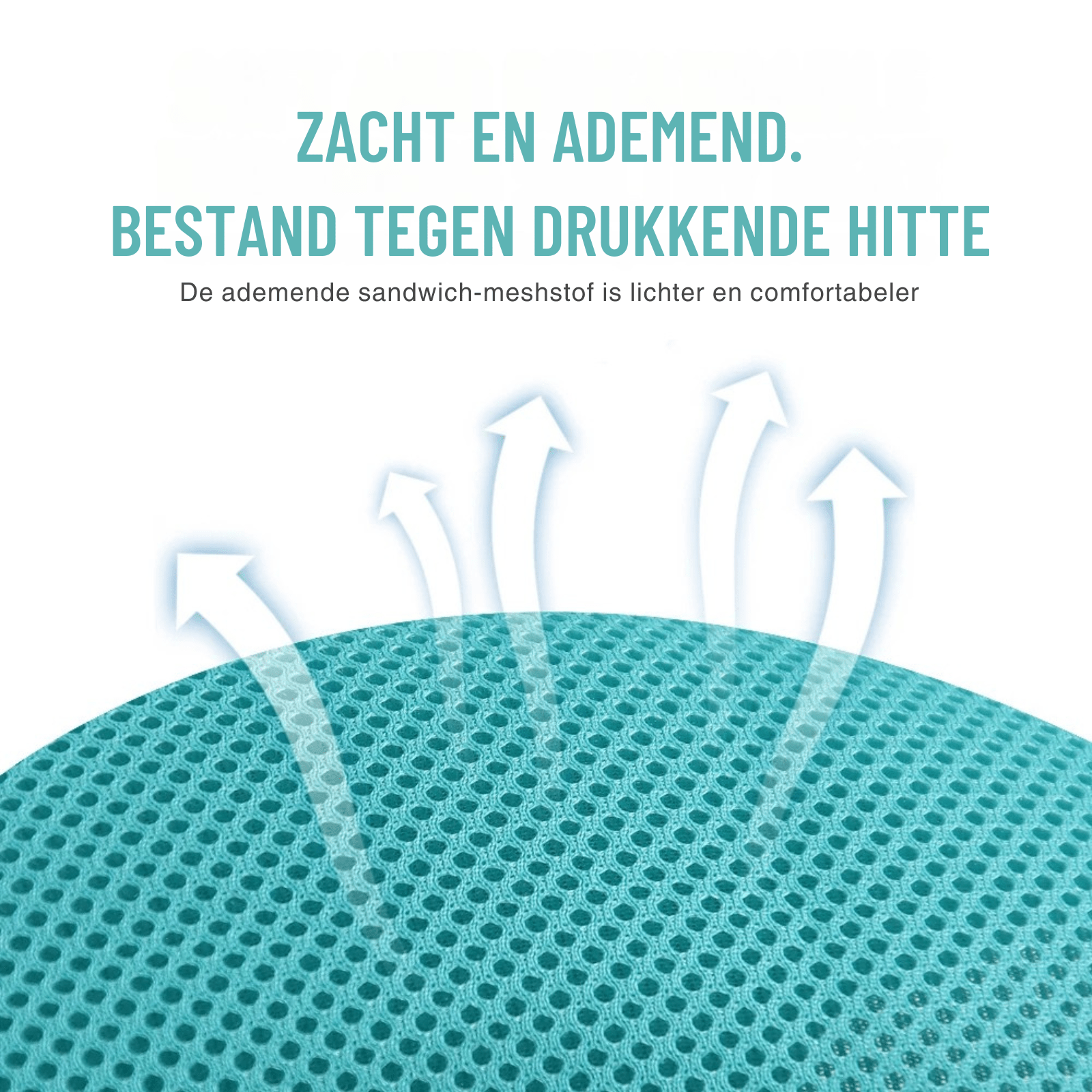 PawSecure – Harnas voor Hond en Kat - Duke & Scoop