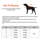 PawSecure – Harnas voor Hond en Kat - Duke & Scoop