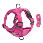 PawSecure – Harnas voor Hond en Kat - Duke & Scoop