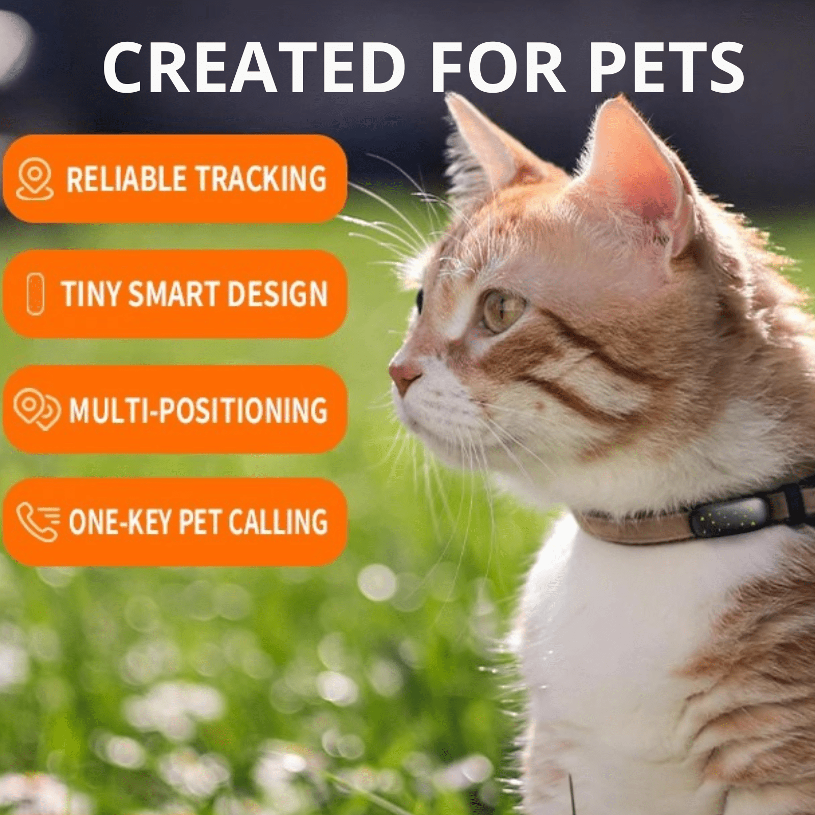 PetFind 4G GPS Tracker - Duke & Scoop