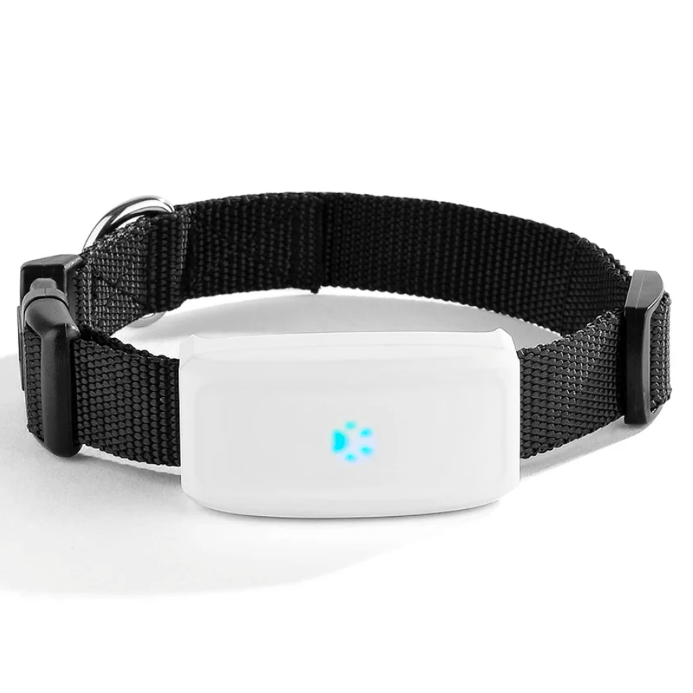PetFind TK911 GPS Tracker - Duke & Scoop