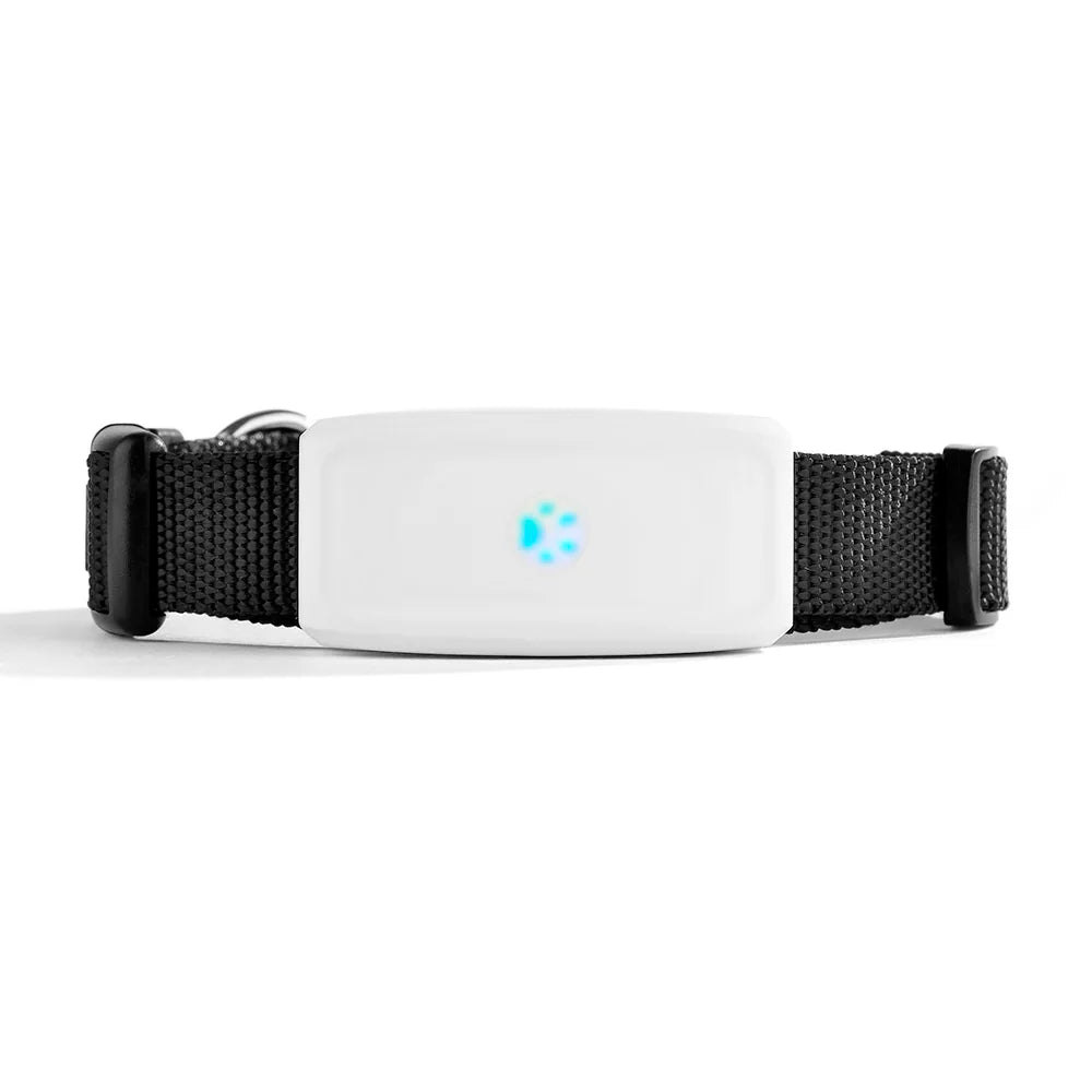 PetFind TK911 GPS Tracker - Duke & Scoop