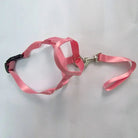 QuietFit –Muilkorf voor honden - Duke & Scoop