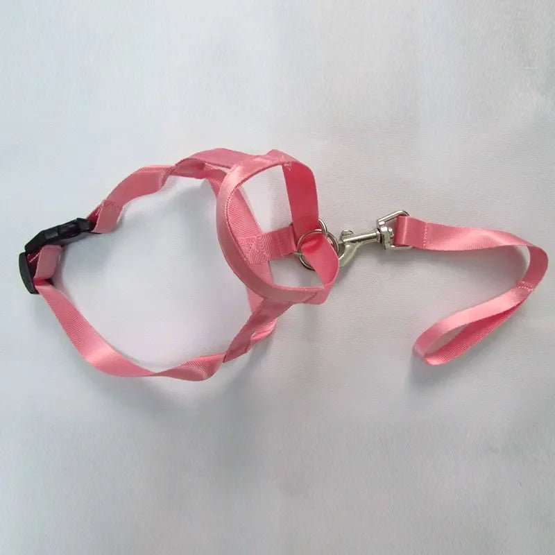 QuietFit –Muilkorf voor honden - Duke & Scoop