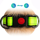 Reflecterende Hondenhalsband met Dubbele D - Ring - Duke & Scoop