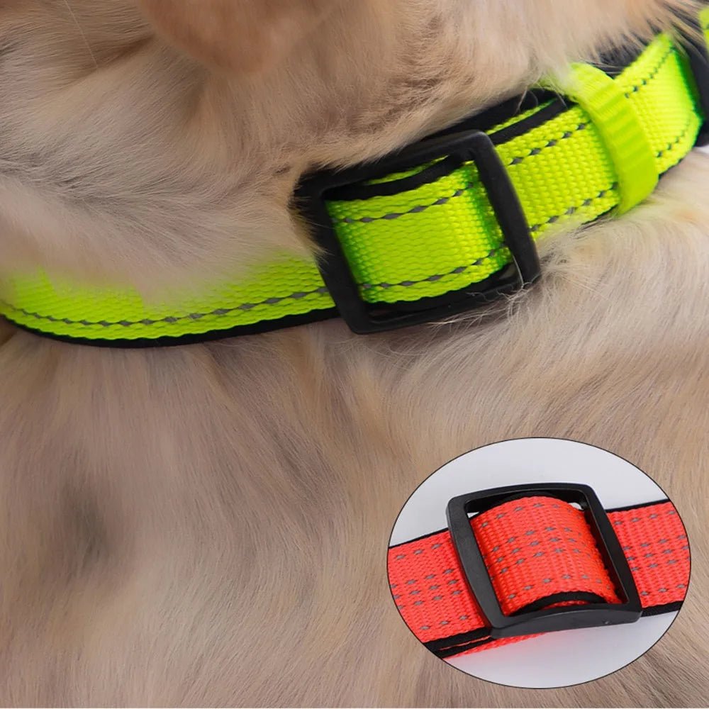 Reflecterende Hondenhalsband met Dubbele D - Ring - Duke & Scoop