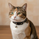 Reflecterende Kattenhalsband met Sterren & Maan - Duke & Scoop