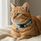 Reflecterende Kattenhalsband met Sterren & Maan - Duke & Scoop