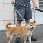 Reflecterende Riem - Sliplijn 180cm - Duke & Scoop